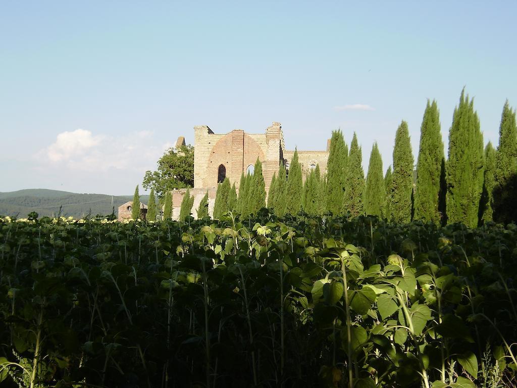 Гостевой дом La Fattoria Montalcinello Кьюздино Экстерьер фото